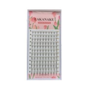 Cilios Lakanaku Premade Volume Fan 0.05D 12D Mix 08-15