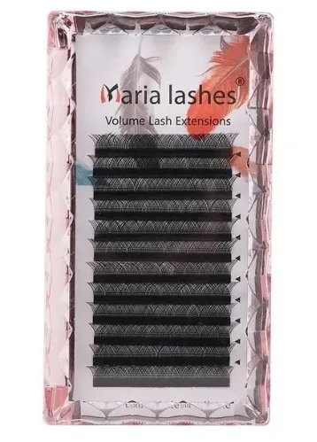 Maria Sasha W 4D 0.07 M mix (08 ao 12)